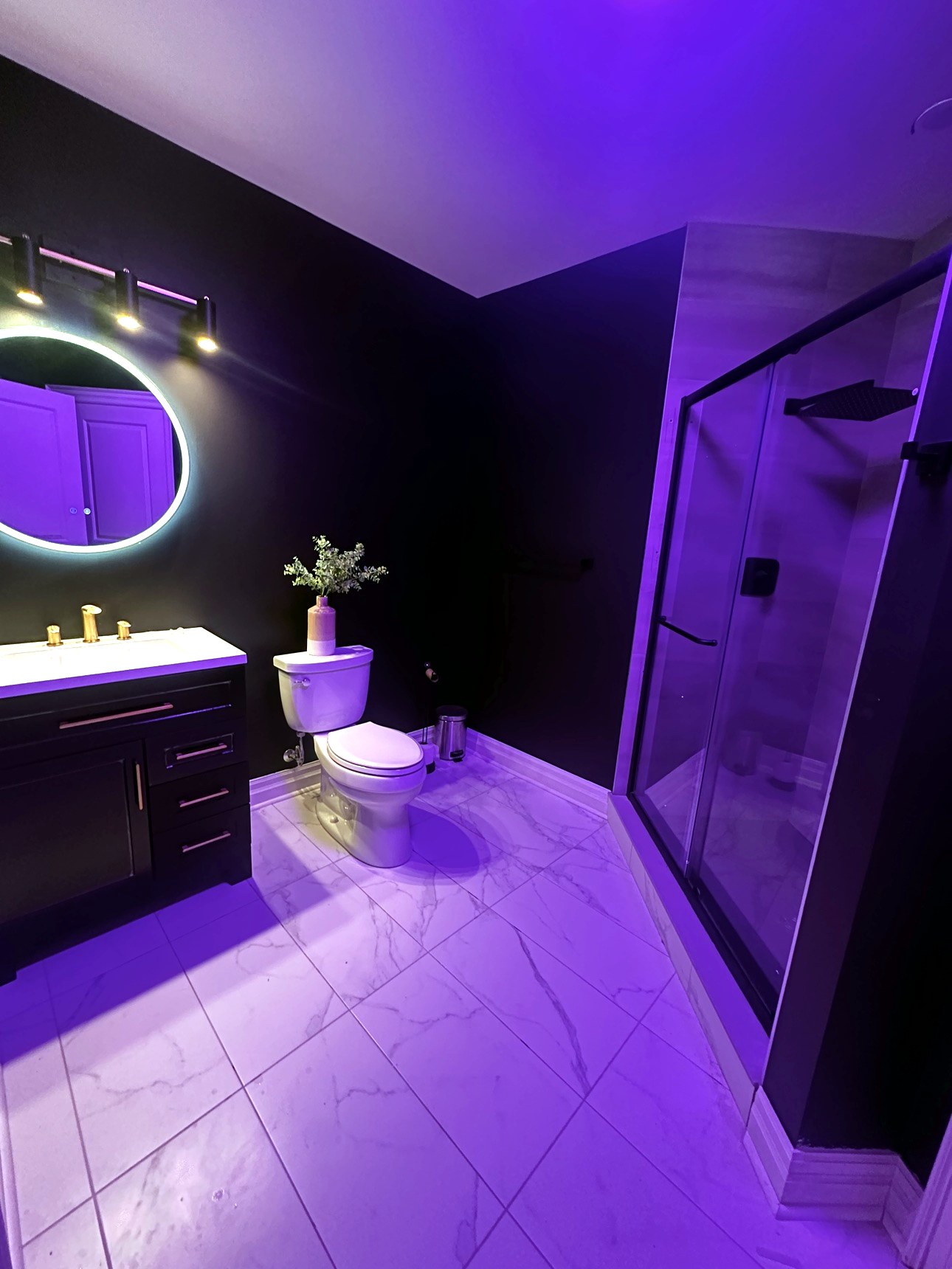 Glass shower and LED mirror with mood lighting